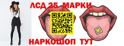 СК Кандалакша