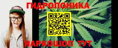 амф Канаш