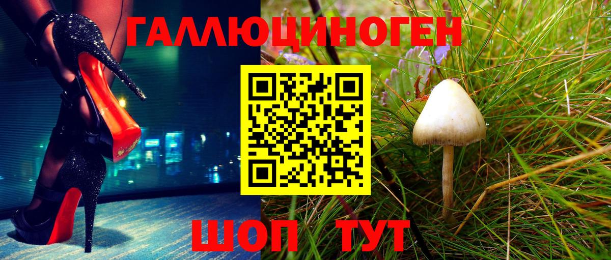 Галлюциногенные грибы Magic Shrooms  Вход с VPN  Майкоп 