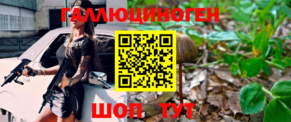 Галлюциногенные грибы MAGIC MUSHROOMS Майкоп