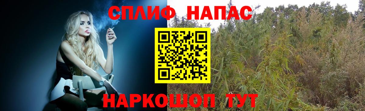 Бошки Шишки конопля Майкоп